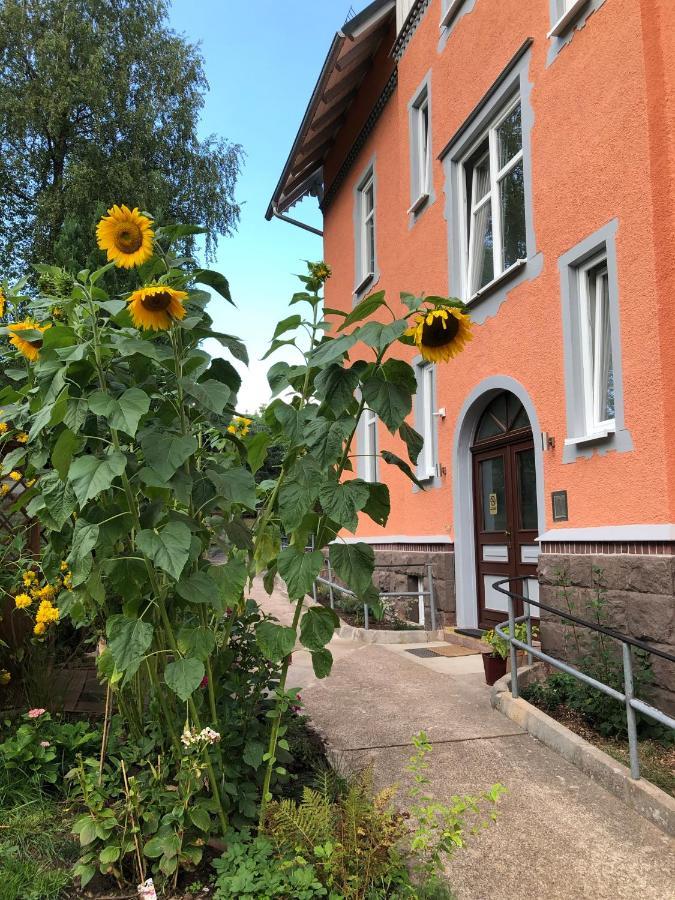 Moderne Ferienwohnung In Alter Villa Georgenthal  Luaran gambar